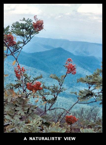 A Naturalists' View